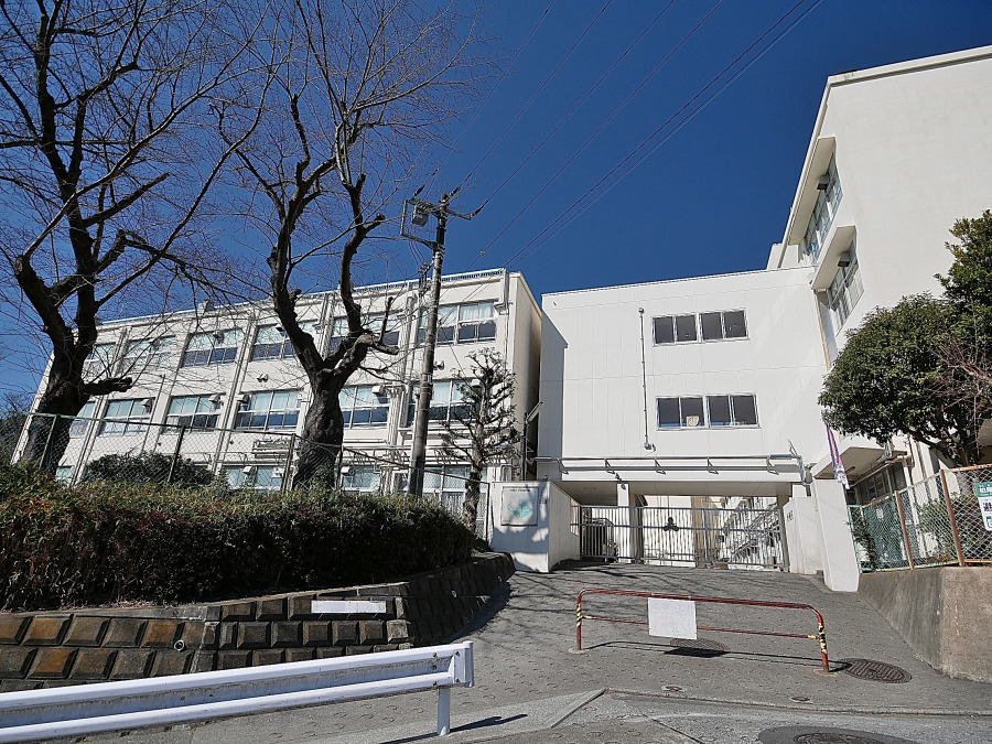 横浜市立柏尾小学校　約650ｍ