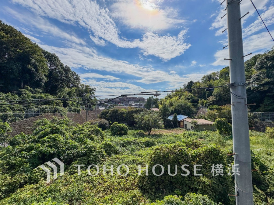 木々の緑がまぶしい、豊かな緑と静寂。ずっと見ていたいと思わせてくれる景色。