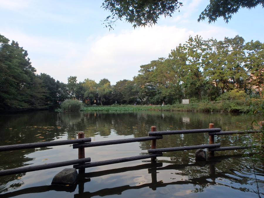 菊名池公園 約250ｍ
