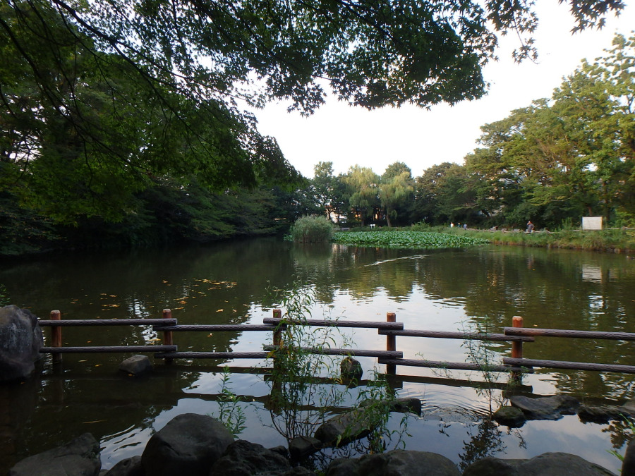 菊名池公園　約850ｍ
