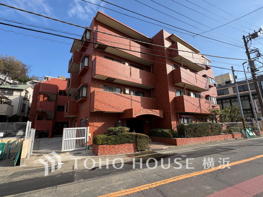 【2026年3月撮影】