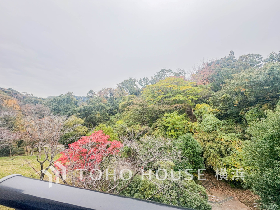 【2025年11月撮影】眺望