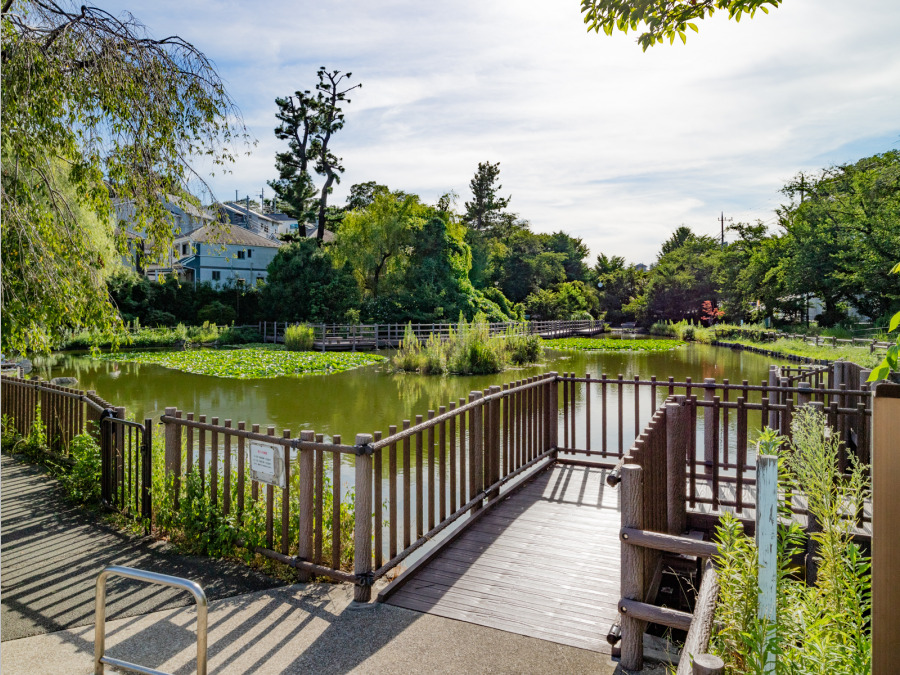 白幡池公園　約80ｍ