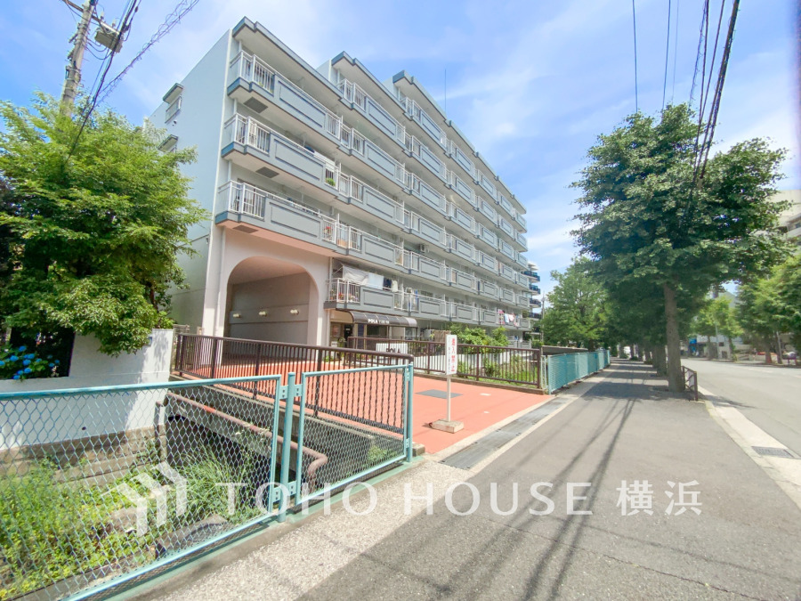【2026年6月撮影】