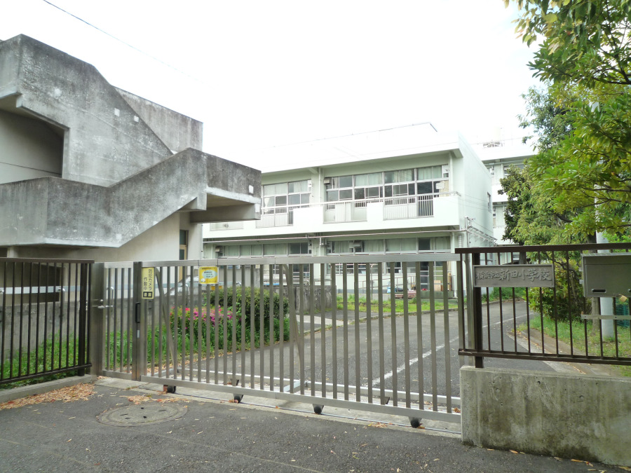横浜市立新田小学校まで約550m