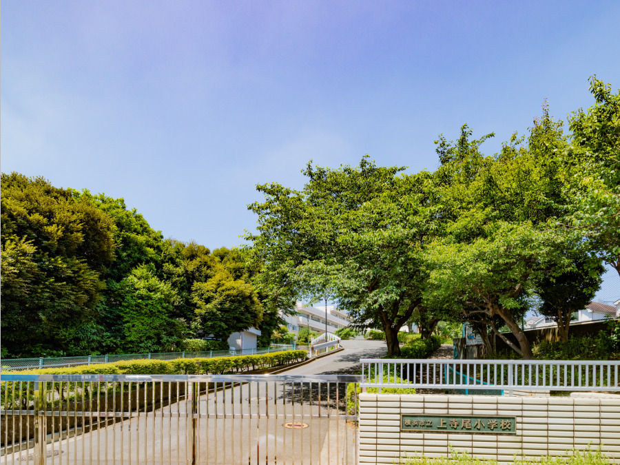横浜市立上寺尾小学校　約700ｍ
