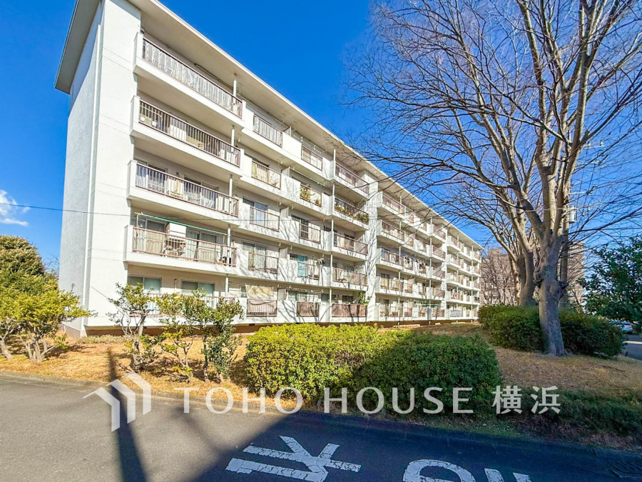 時間のゆとりと空間、爽やかな陽光がもたらす光と風を贅沢なまでに感じる暮らしが始まります。