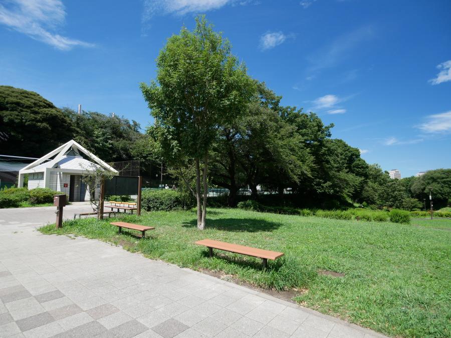 県立保土ケ谷公園　約850ｍ