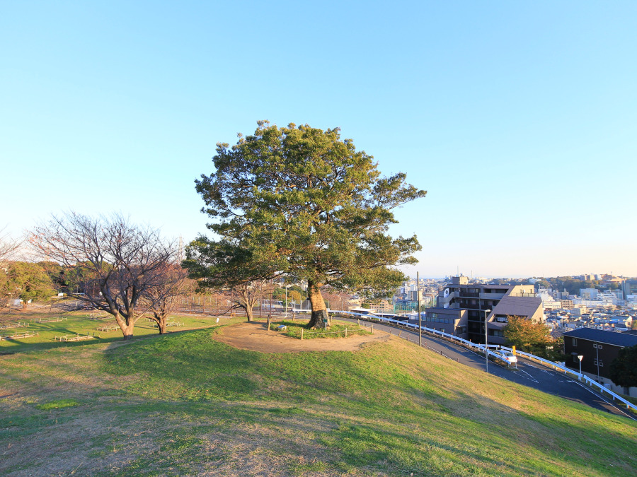 清水ヶ丘公園　約350ｍ
