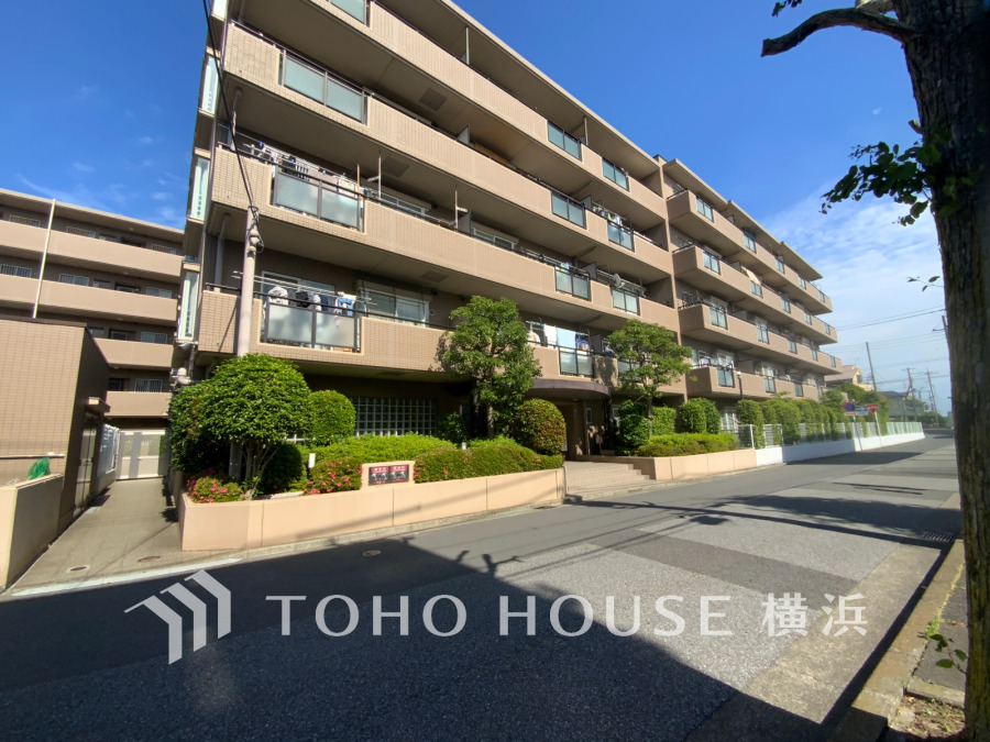 【2026年6月撮影】
