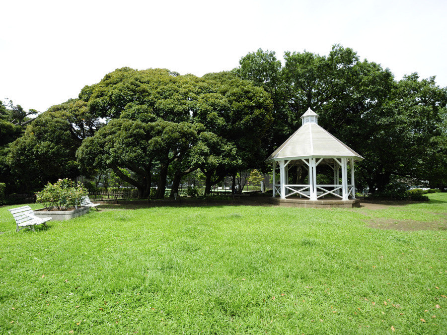 山手公園　 約300ｍ
