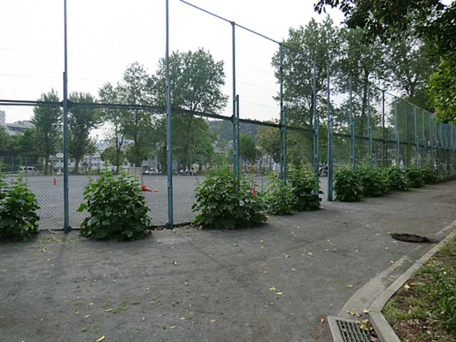 打越公園まで　約1000ｍ