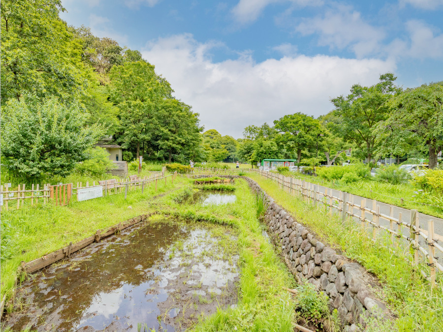 三ツ池公園まで　約1200ｍ