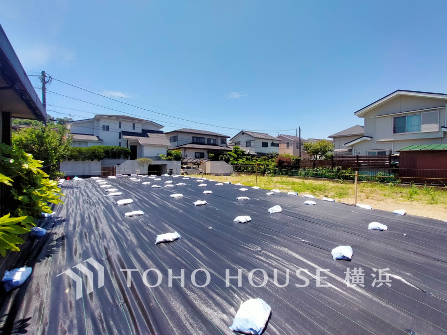 現地写真
