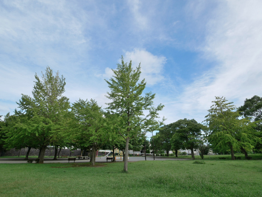 本郷台中央公園まで　約500ｍ