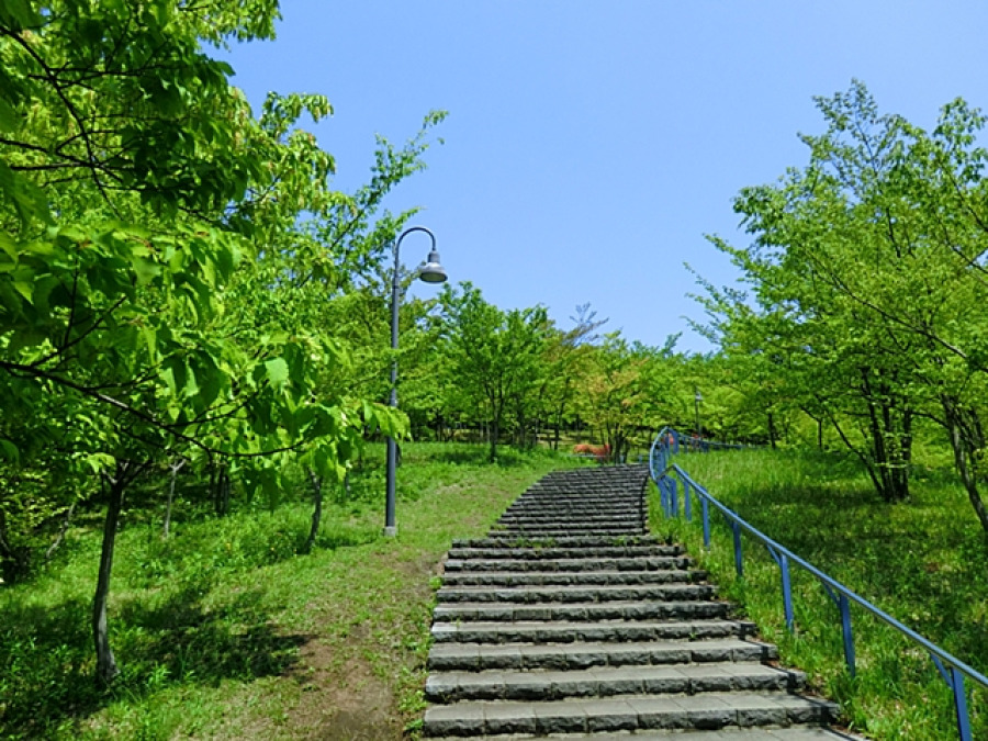 都筑中央公園　約550ｍ