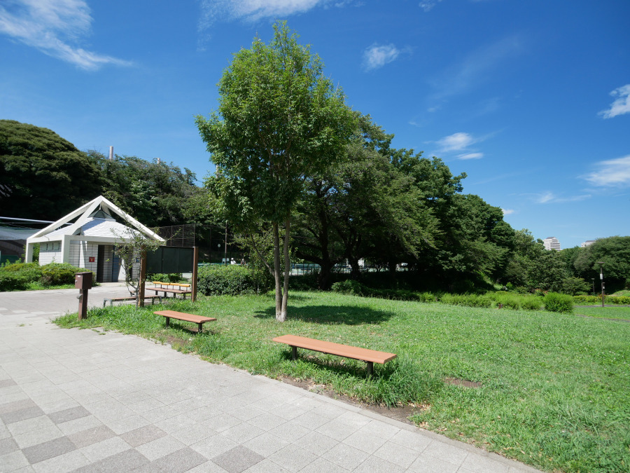 緑あふれる広々とした公園。ベンチや清潔なトイレがあり、ゆったりとくつろげる憩いの場です。