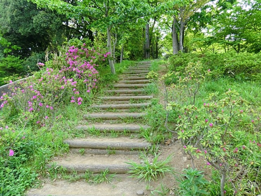 上品濃公園(約140ｍ。階段やスロープを上がると広いグラウンドと遊具広場があります。)