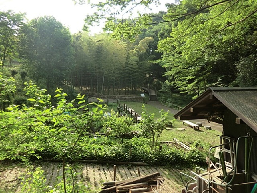 天王森泉公園(約650ｍ。天王森泉館・湧水の森・見晴らしの丘・くわくわ森の4つのエリアに分かれた緑豊かな公園。)