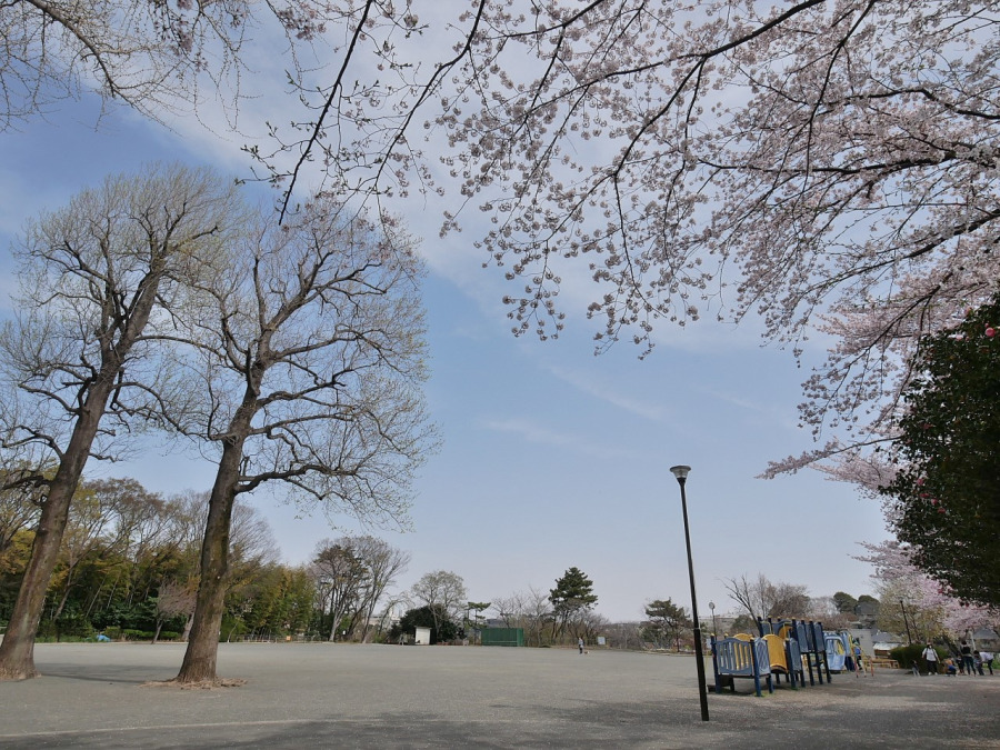 川上公園(約500ｍ。広い広場や遊具のある見晴らしの良い公園。春には桜の下でお花見ができます。)
