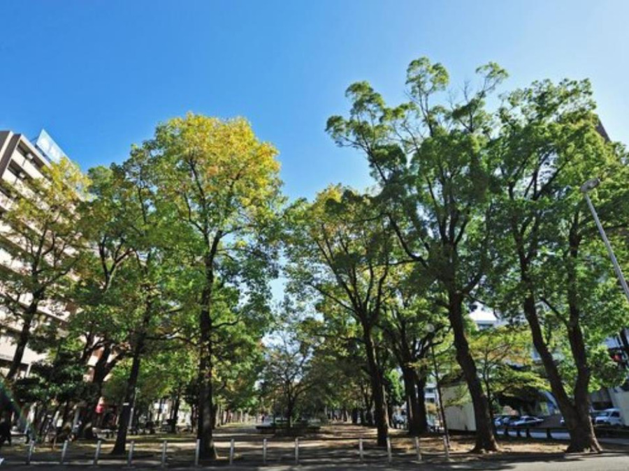 大通り公園(波のイメージのタイルのモザイクや流氷のイメージのオブジェがあり、自分流で楽しめる公園です。)