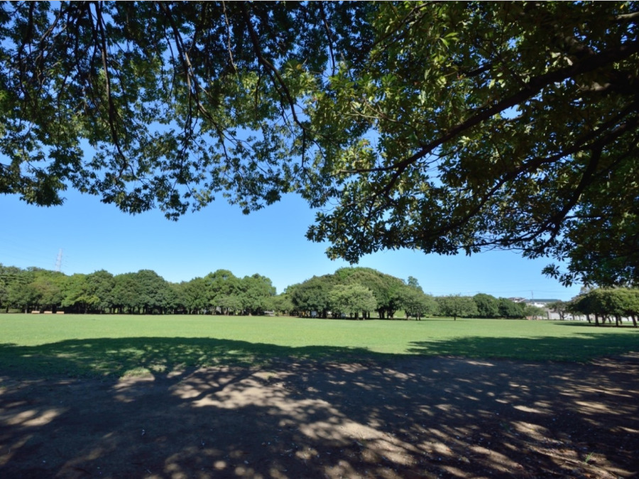 岸根公園(約50ｍ。桜の名所として知られていますが、広場、遊具、緑の多い園内をぐるりと散歩道があり一年中楽しめる公園。)