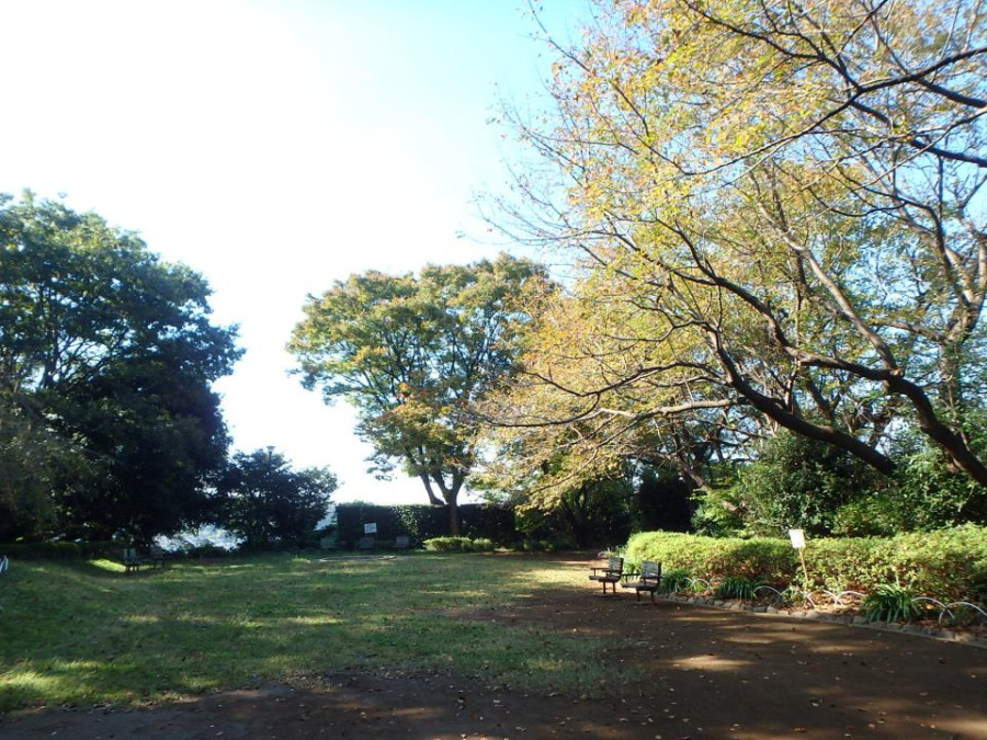 白幡公園(約1500ｍ。公園の中には修繕が終わったばかりのログハウスもあります。木のぬくもりを感じながら思いっきり遊べます。)