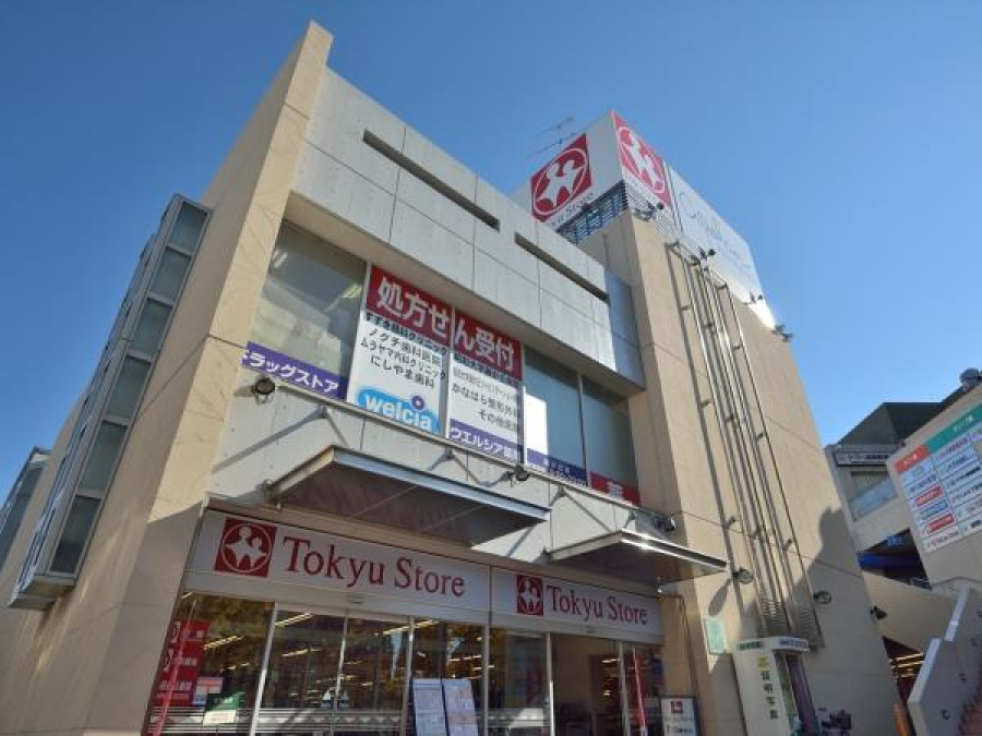 東急ストア藤が丘店(約210ｍ。毎日の食卓を彩る食料品が揃います。ドラッグストアやファストフード店などが併設されています。)